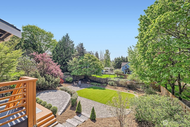 view of yard featuring a fenced backyard and a patio area