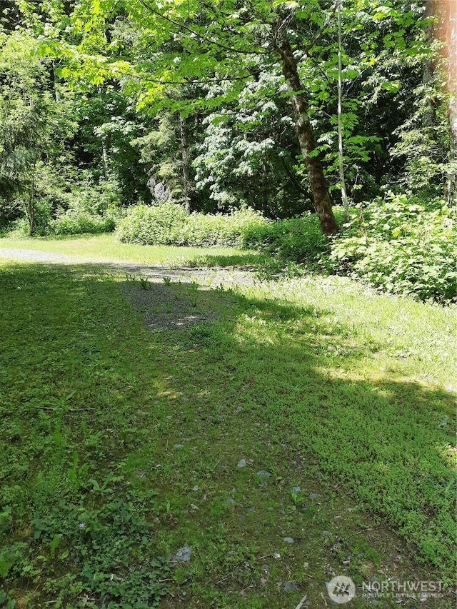 57255 State Route 20, Rockport, WA 98283 - view of yard featuring a forest view