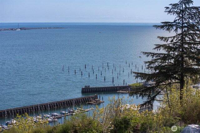 410 S E St, Port Angeles, WA 98363 - photo 39