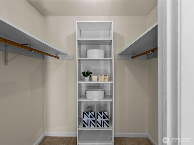 14148 74th Pl NE Unit 12C, Kirkland, WA 98034 - spacious closet with carpet floors