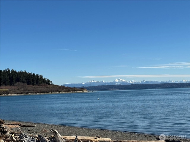 289 Driftwood Shores Rd, Camano Island, WA 98282 - photo 39