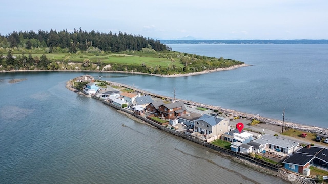 289 Driftwood Shores Rd, Camano Island, WA 98282 - photo 31