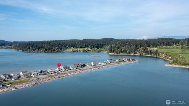 289 Driftwood Shores Rd, Camano Island, WA 98282 - photo 32