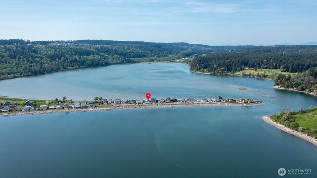 289 Driftwood Shores Rd, Camano Island, WA 98282 - photo 33