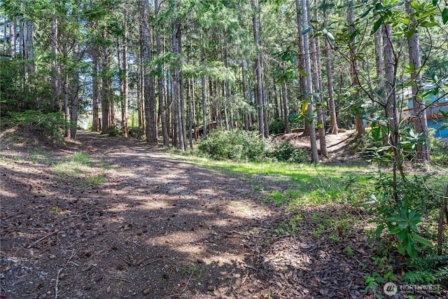 416 W Herron Blvd NW, Lakebay, WA 98349 - photo 22
