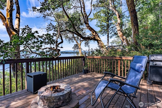416 W Herron Blvd NW, Lakebay, WA 98349 - photo 4