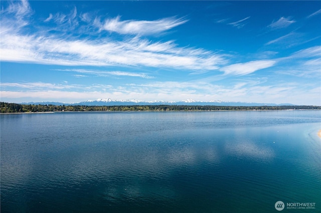 416 W Herron Blvd NW, Lakebay, WA 98349 - photo 29