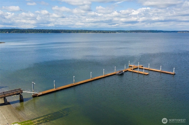 416 W Herron Blvd NW, Lakebay, WA 98349 - photo 33