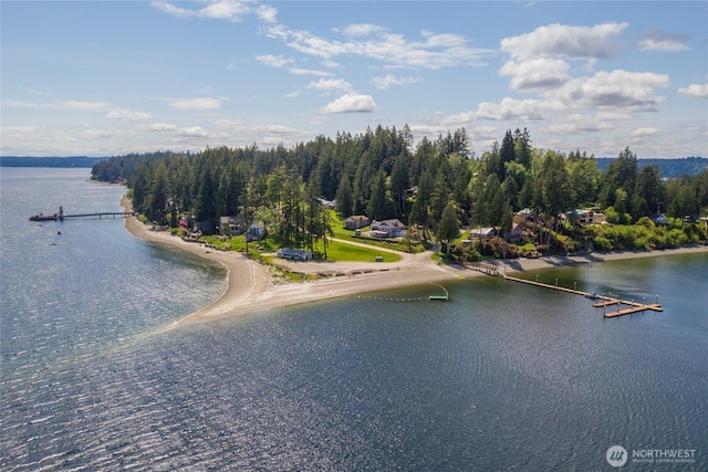 416 W Herron Blvd NW, Lakebay, WA 98349 - photo 34