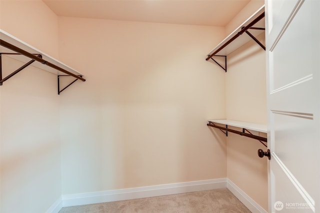 walk in closet featuring light colored carpet