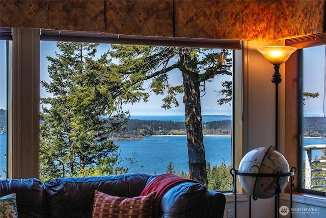 519 Highlands Dr, Orcas Island, WA 98245 - water view