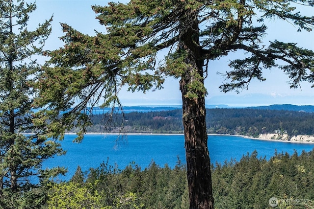 519 Highlands Dr, Orcas Island, WA 98245 - water view featuring a forest