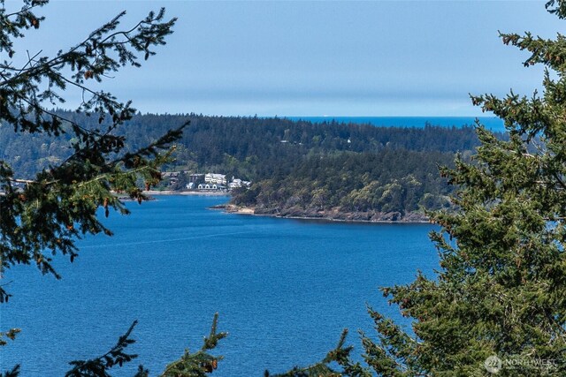 519 Highlands Dr, Orcas Island, WA 98245 - water view with a forest