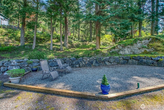 519 Highlands Dr, Orcas Island, WA 98245 - view of yard