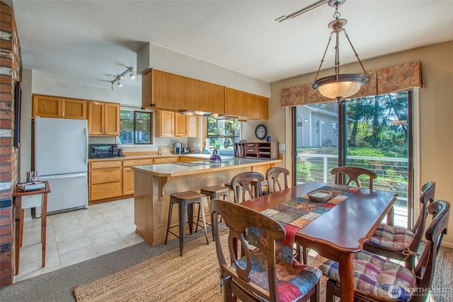 519 Highlands Dr, Orcas Island, WA 98245 - dining space featuring rail lighting, light tile patterned floors, and light colored carpet