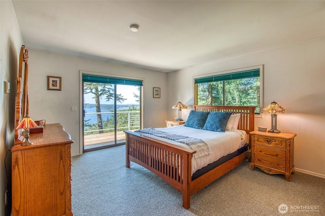 519 Highlands Dr, Orcas Island, WA 98245 - carpeted bedroom with access to exterior, multiple windows, and baseboards