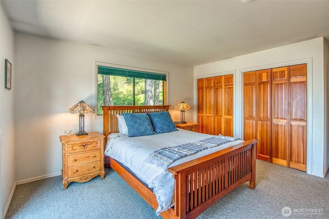 519 Highlands Dr, Orcas Island, WA 98245 - bedroom with carpet, two closets, and baseboards