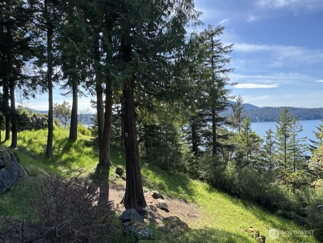 519 Highlands Dr, Orcas Island, WA 98245 - view of undeveloped land featuring a mountainous background