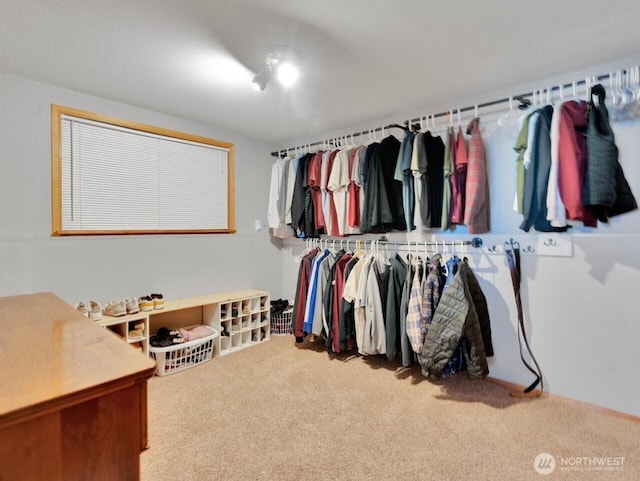 walk in closet featuring carpet floors