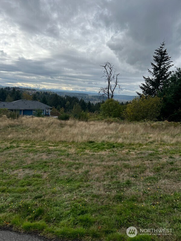 18XX 85th St E, Bonney Lake, WA 98391 - photo 4