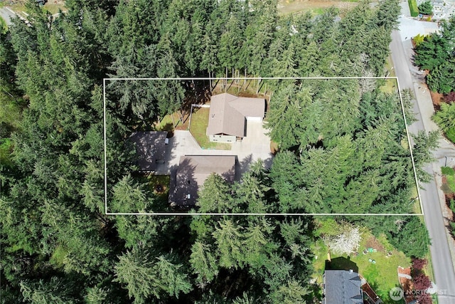 25012 67th Ave E, Graham, WA 98338 - aerial view