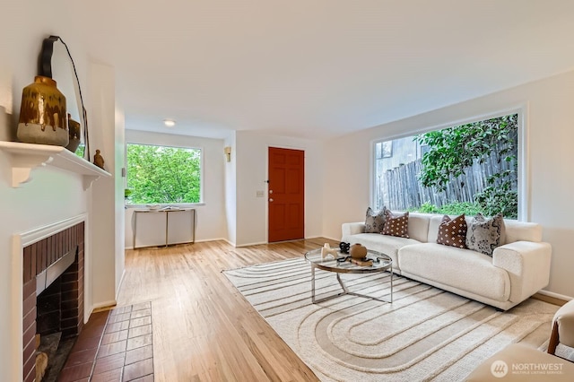 living area featuring baseboards, wood finished floors, and a fireplace