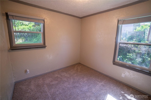 914 Puget St NE, Olympia, WA 98506 - carpeted spare room with crown molding, a textured wall, and a healthy amount of sunlight