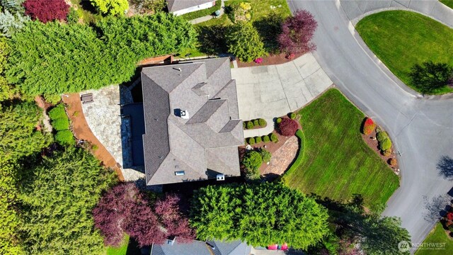 bird's eye view