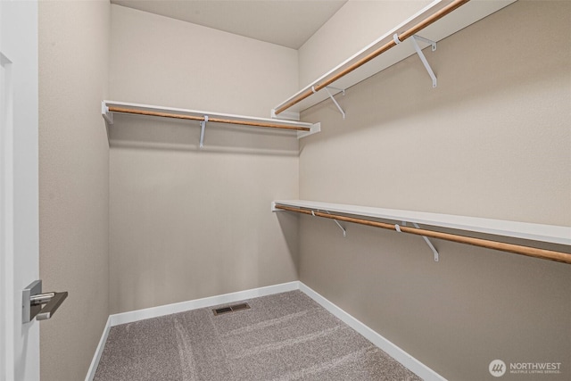 9621 7th Ave SE, Lacey, WA 98513 - walk in closet with carpet flooring