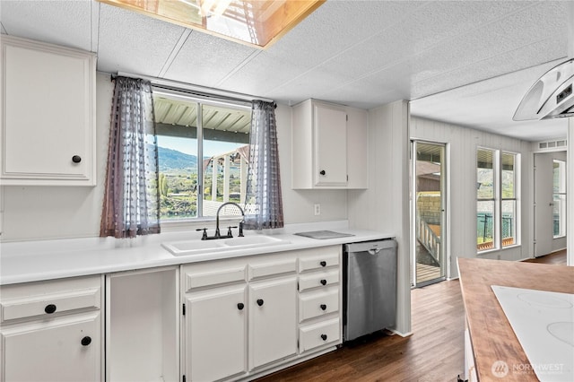 kitchen with a wealth of natural light, dishwasher, light countertops, and a sink