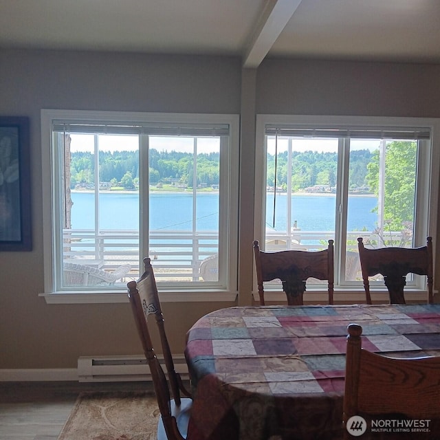 dining space with a water view and a wealth of natural light