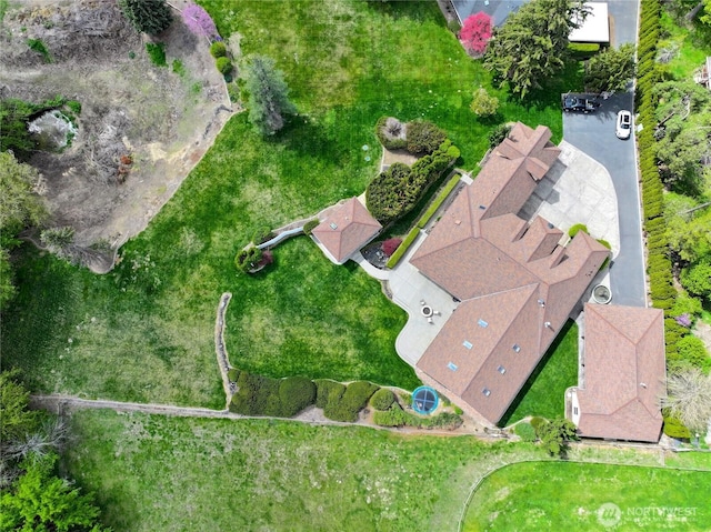 bird's eye view