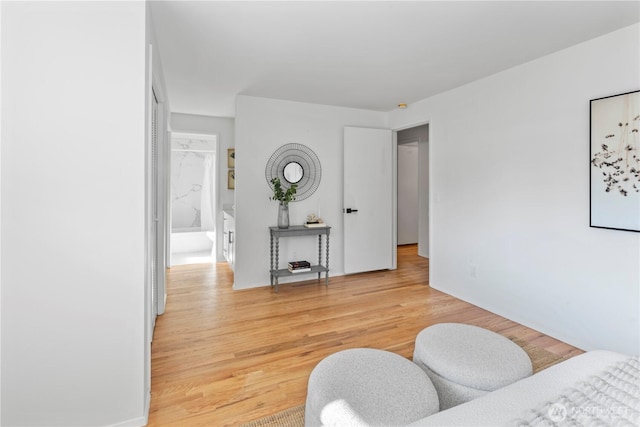 interior space with light wood-type flooring