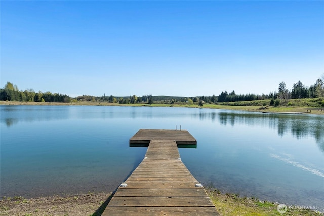 6401 Skookumchuck Rd SE, Tenino, WA 98589 - view of dock with a water view