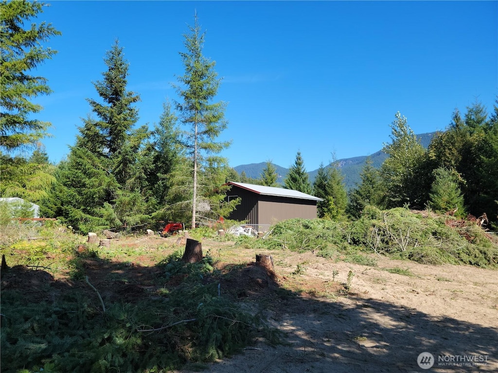 113 Cottonwood Ln, Packwood, WA 98361 - photo 2