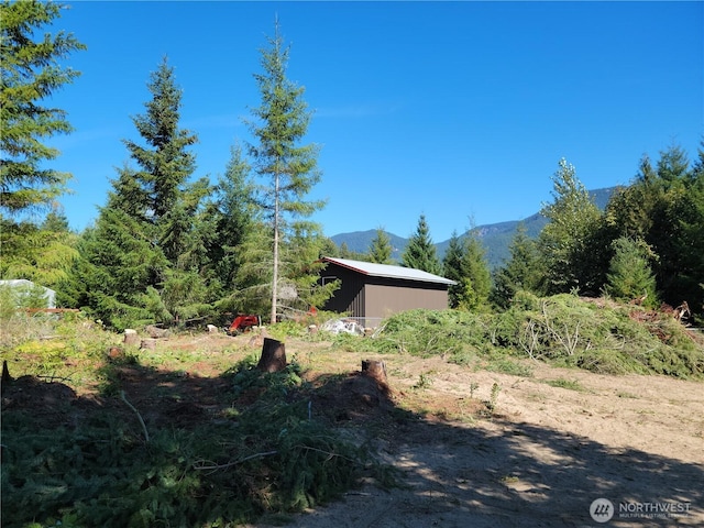 113 Cottonwood Ln, Packwood, WA 98361 - photo 2