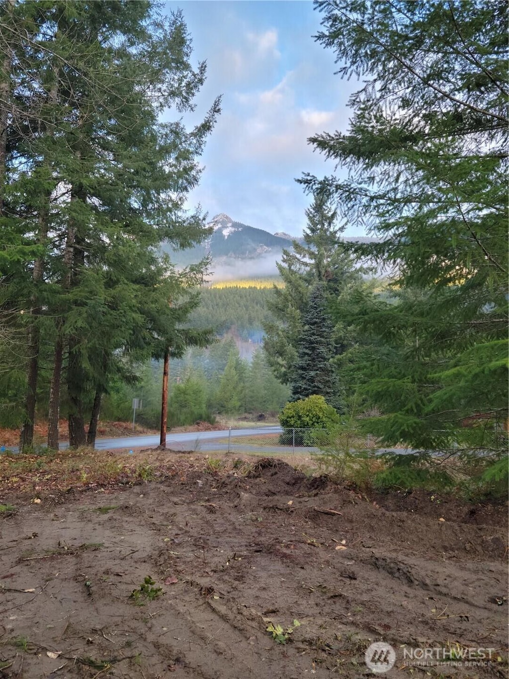113 Cottonwood Ln, Packwood, WA 98361 - photo 3