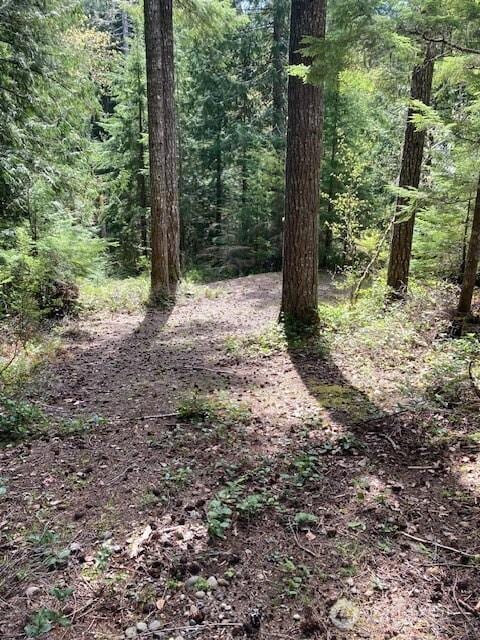 410 N Mount Seattle Way, Hoodsport, WA 98548 - photo 1