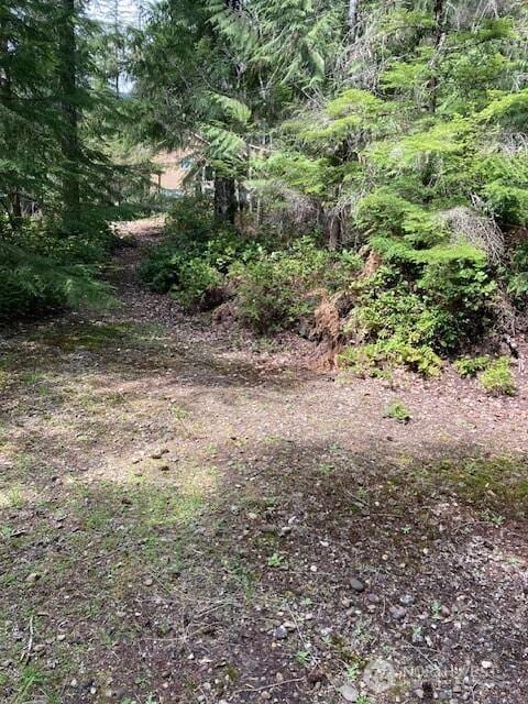 410 N Mount Seattle Way, Hoodsport, WA 98548 - photo 2