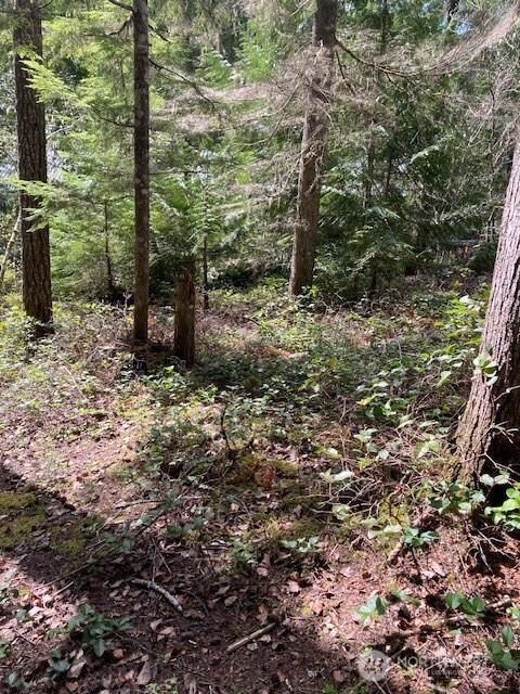 410 N Mount Seattle Way, Hoodsport, WA 98548 - photo 3