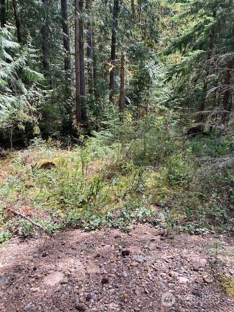 410 N Mount Seattle Way, Hoodsport, WA 98548 - photo 5