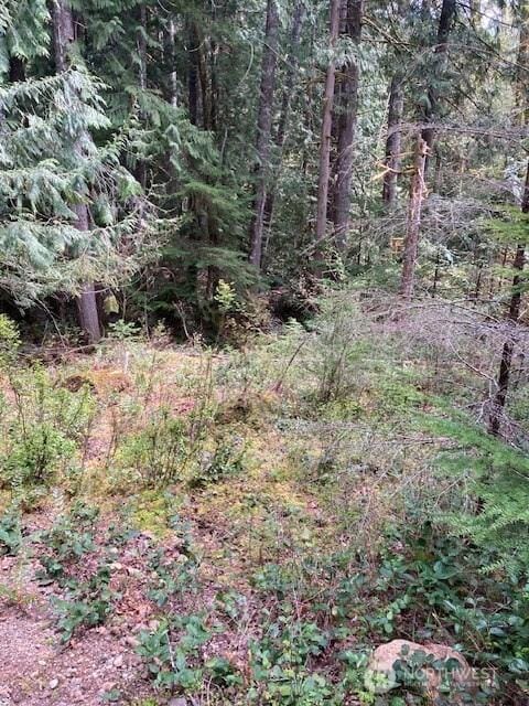 410 N Mount Seattle Way, Hoodsport, WA 98548 - photo 7