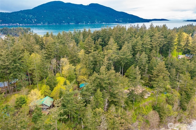 mountain view featuring a water view and a view of trees