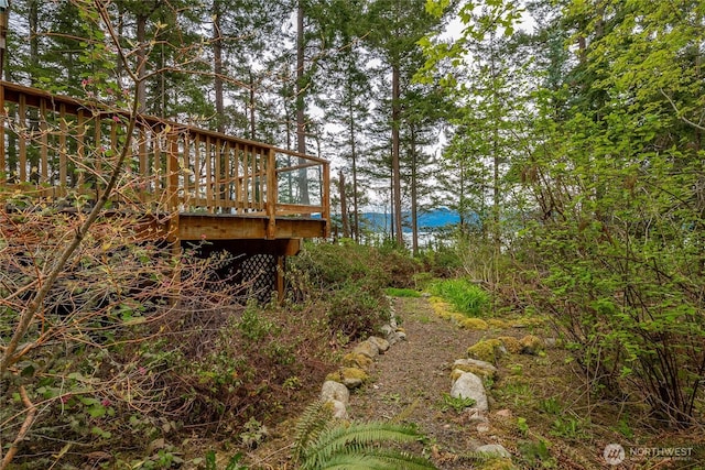 view of yard featuring a deck