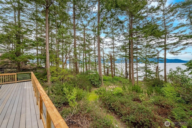 wooden terrace featuring a mountain view