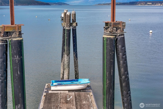 dock area with a water view
