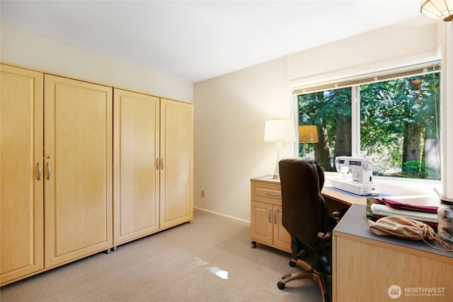 office featuring light carpet and baseboards