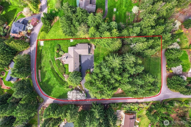 aerial view
