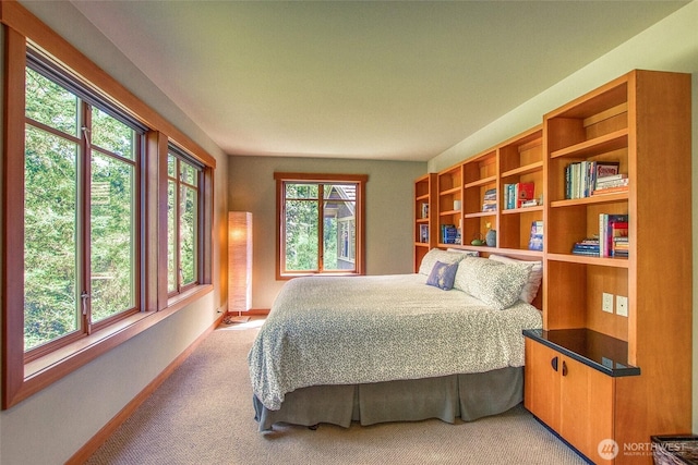72 Thunderbird Trl, Orcas Island, WA 98280 - bedroom featuring light colored carpet and baseboards