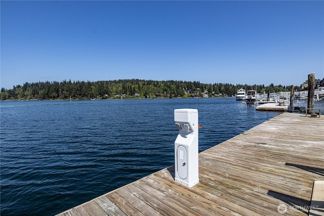 dock area with a water view and a forest view